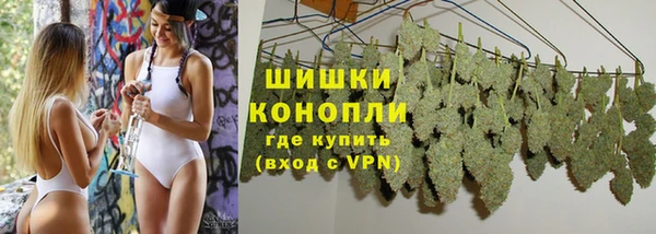 тгк Бронницы