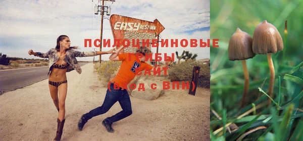 а пвп мука Бугульма